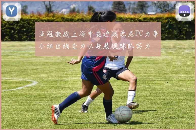 亚冠激战上海申花迎战悉尼FC力争小组出线全力以赴展现球队实力