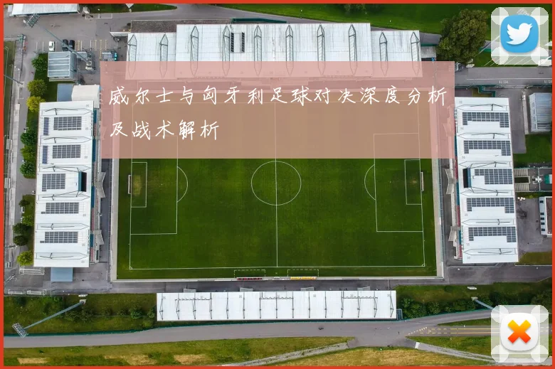 威尔士与匈牙利足球对决深度分析及战术解析