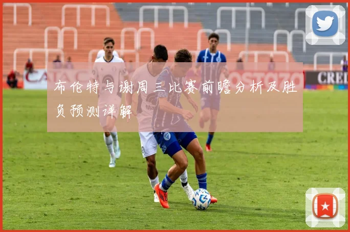 布伦特与谢周三比赛前瞻分析及胜负预测详解