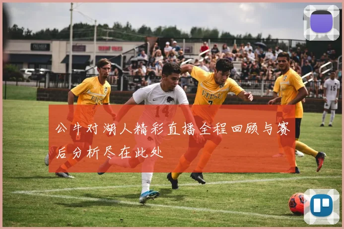 公牛对湖人精彩直播全程回顾与赛后分析尽在此处