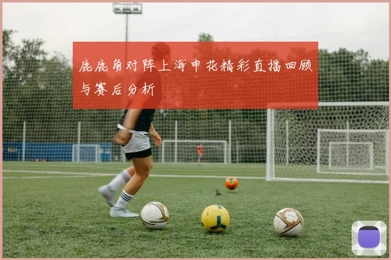 鹿鹿角对阵上海申花精彩直播回顾与赛后分析